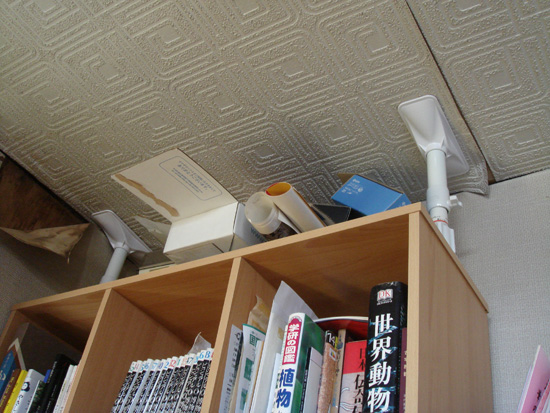 DSC03867.jpg