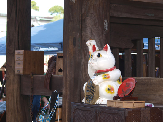 P4281061.jpg