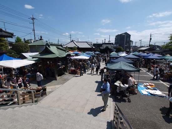 P4281063.jpg