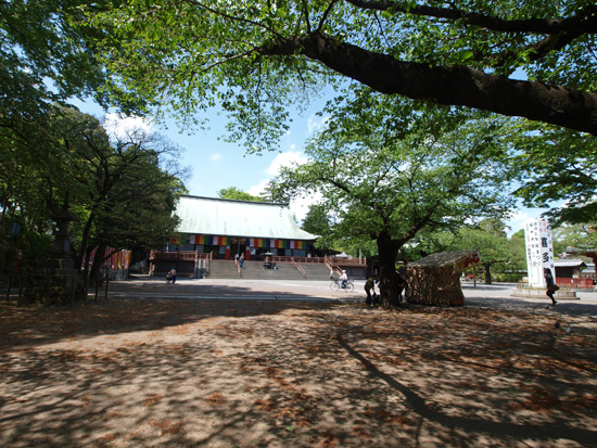 P4281071.jpg
