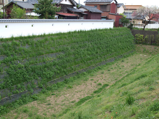 P4281136.jpg