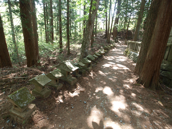 P5211520.jpg