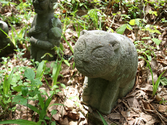 P5211545.jpg