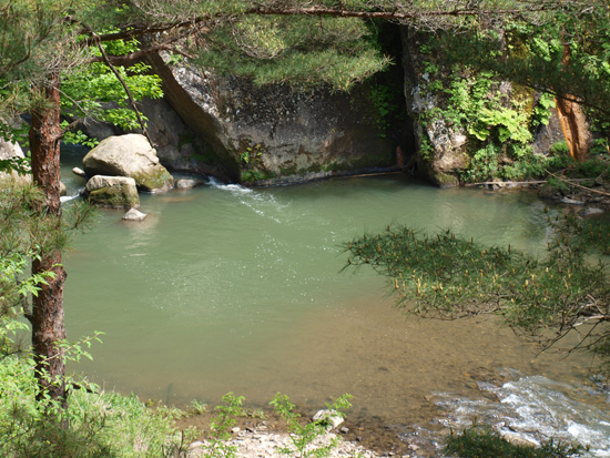 P5211671.jpg