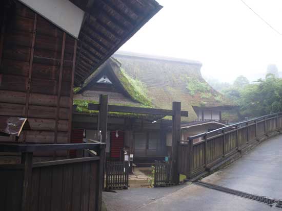 P6262447.jpg
