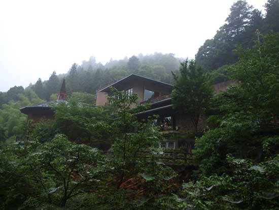 P6262594.jpg