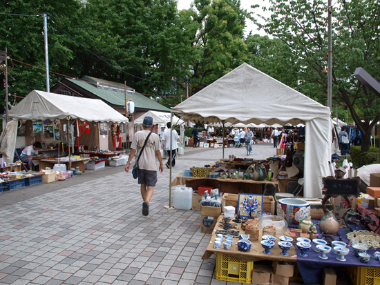 P7263254.jpg