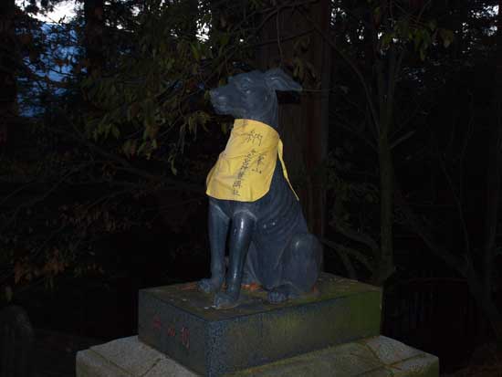 PB208028.jpg