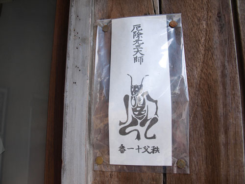P8154132.jpg