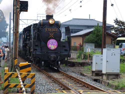 P8154148.jpg