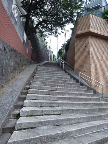 P8244650.jpg