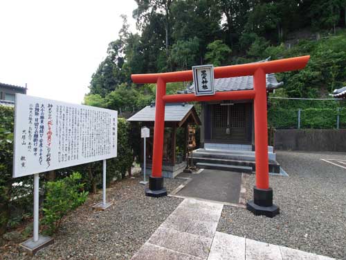 P8275003.jpg