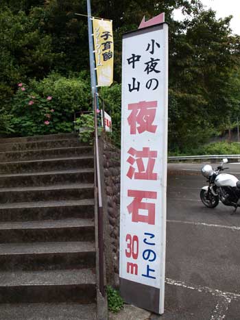 P8275031.jpg