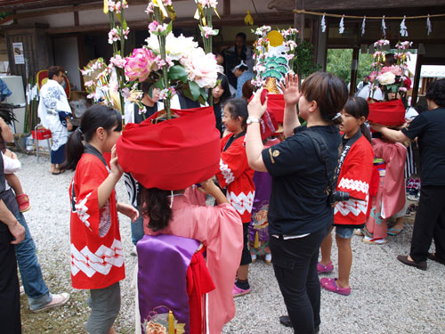 P8285388.jpg