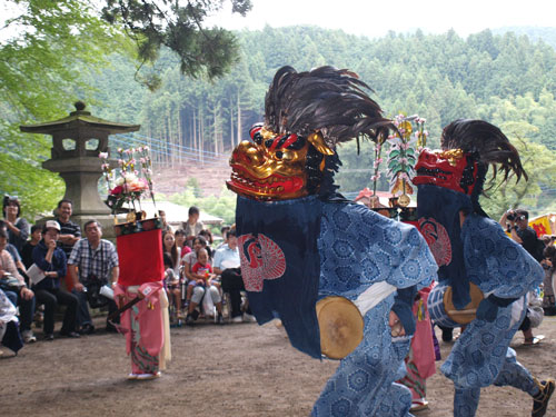 P8285441.jpg
