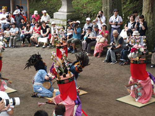 P8285455.jpg