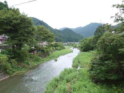 P8285467.jpg