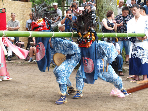 P8285562.jpg