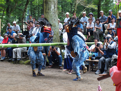 P8285585.jpg