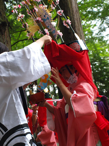 P8285677.jpg