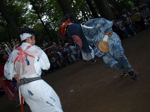P8285859.jpg