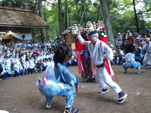 P8285882.jpg