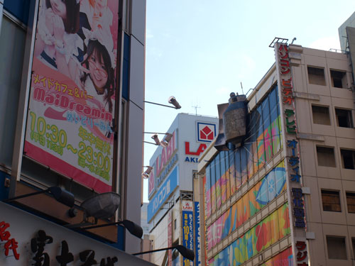 PA308429.jpg